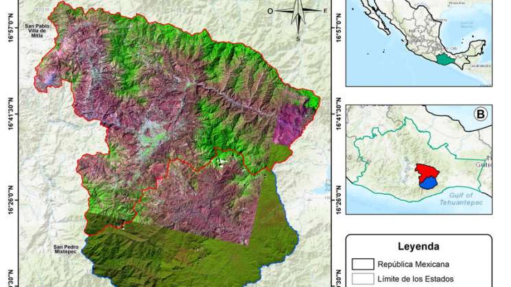 Se pierden ecosistemas forestales en dos subcuencas de Oaxaca 