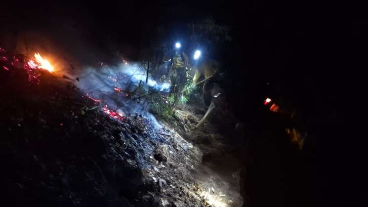 Sofocan incendio forestal en Santo Domingo Xagacía  