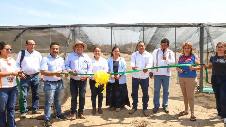 Inauguran vivero forestal en San Felipe para Tututepec 