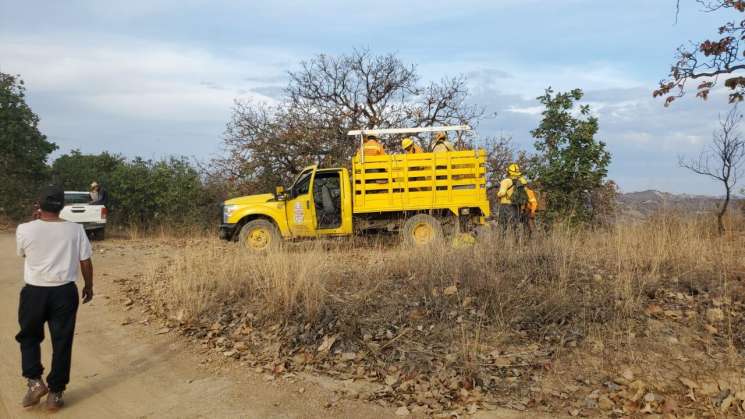 Atiende Coesfo incendio en Santiago Tamazola   