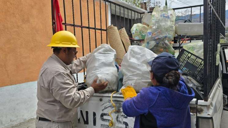 Registran tres casos nuevos de dengue, suman 11 en Oaxaca 