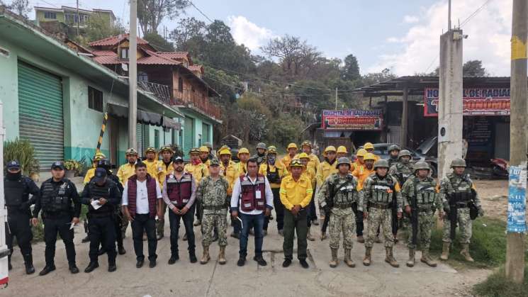 Atiende Coesfo incendio forestal en San Juan Mixtepec  