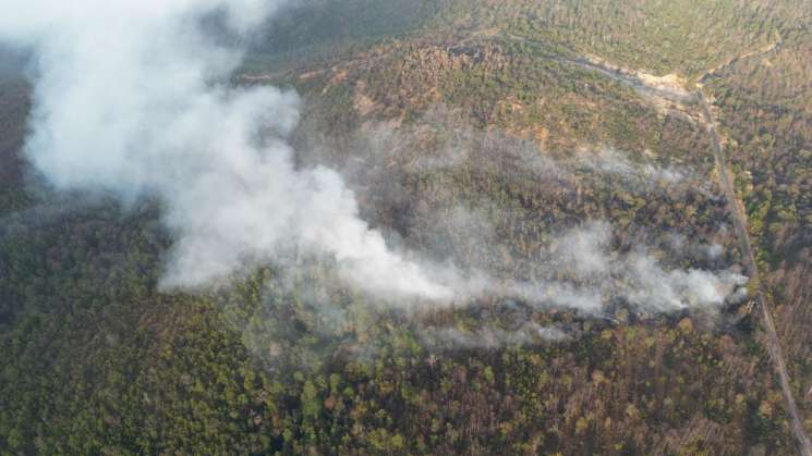 Liquida Coesfo incendio forestal en San Juan Mixtepec 