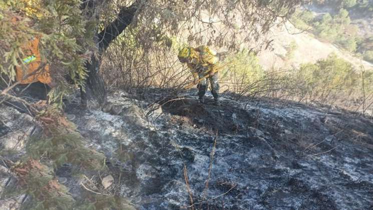 Sofoca Coesfo incendio tras muerte de campesino en roza