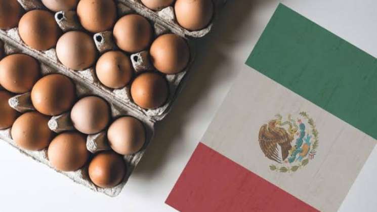 México se coloca como principal proveedor de huevos para EU