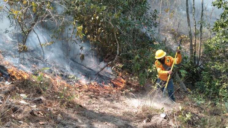 Controla Coesfo incendio forestal en Santiago Ixtayutla  