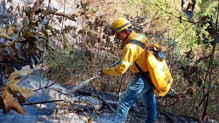 Sofoca  Coesfo incendio forestal en San Agustín Loxicha