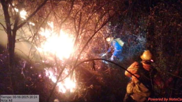 Controla Coesfo incendio forestal en Heroica Ciudad de Tlaxiaco  