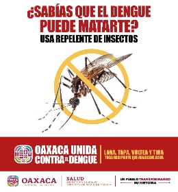 Campaña Dengue 24
